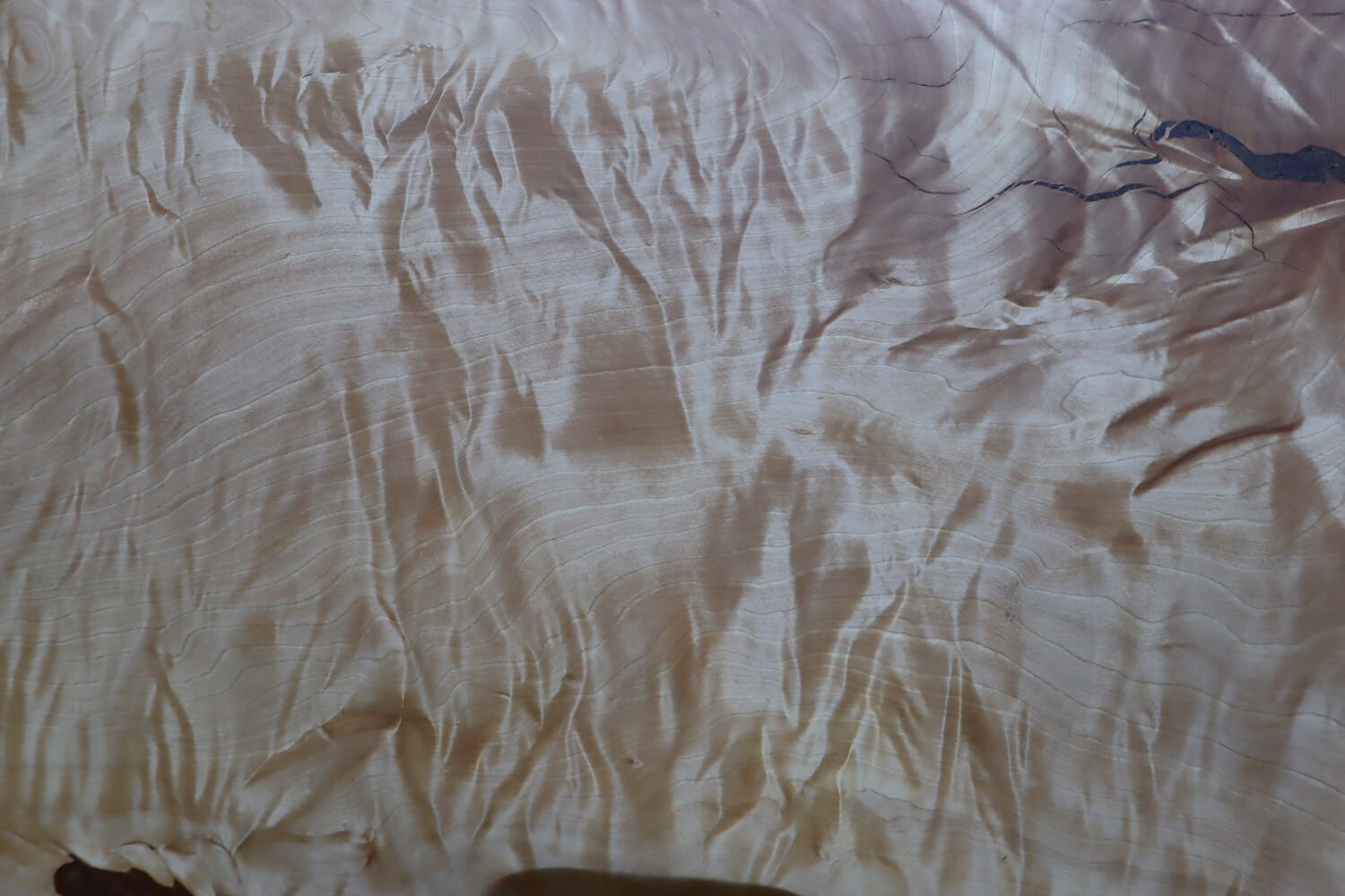 一枚板 栃 1500 MS-7455